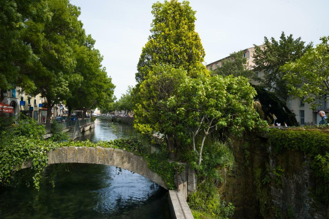 Paradis Doré